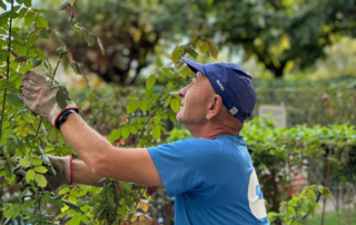 Operario del equipo de jardinería de Serfey realizando podas de mantenimiento en una comunidad de propietarios en Huesca.
